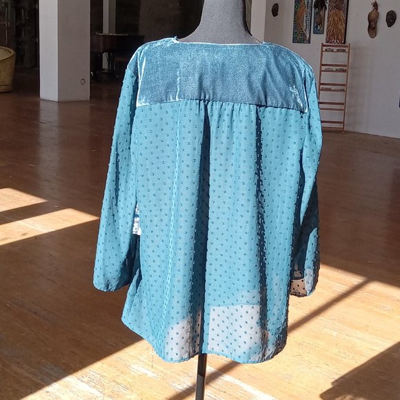 Blue sheer laser velour cut embellished top - Picture 4 of 13